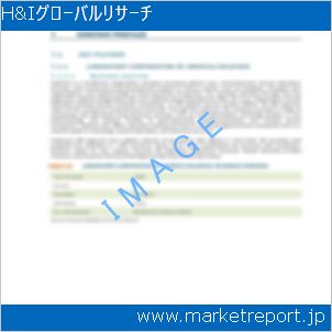 市場と産業調査レポートのイメージ